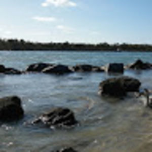 Meet your Posher, Joyce